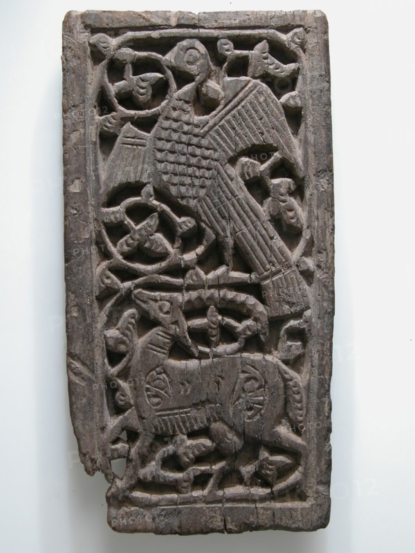 Panel