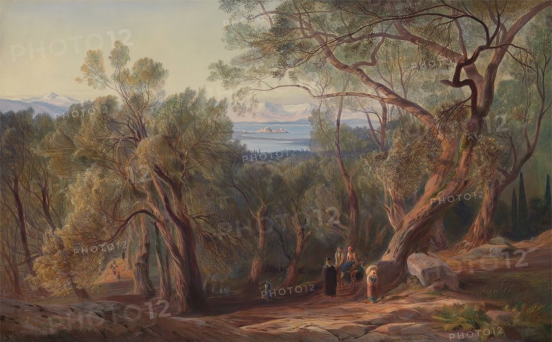 Corfu from Santa Decca, 1862.