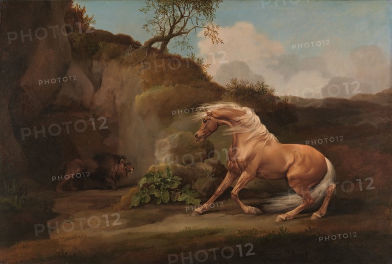 Horse Frightened by a Lion;Horse and Lion;Lion frightened by a Horse, between 1762 and 1768.