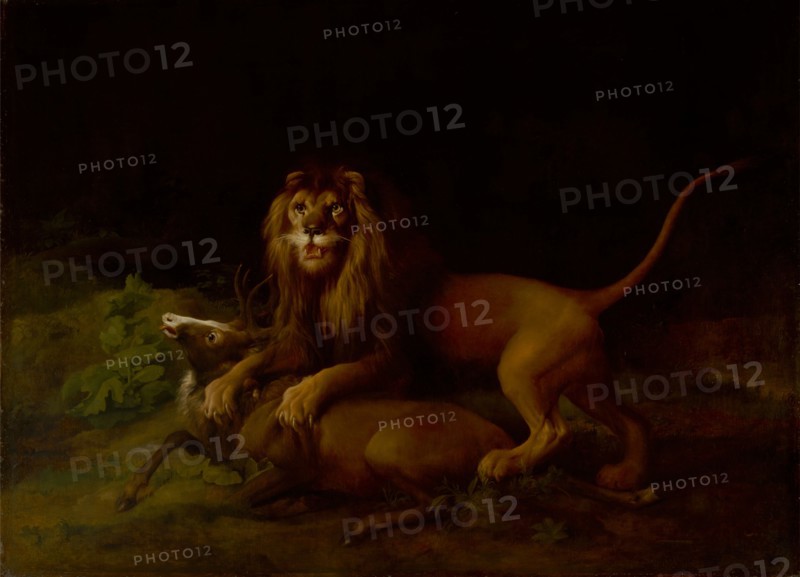 A Lion Attacking a Stag;Lion devouring a stag;Lion Slaying a Buck;Lion Killing a Stag, between 1765 and 1766.
