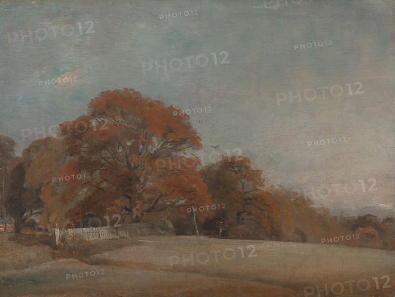 An Autumnal Landscape at East Bergholt;An Autumnal Landscape, between 1805 and 1808.