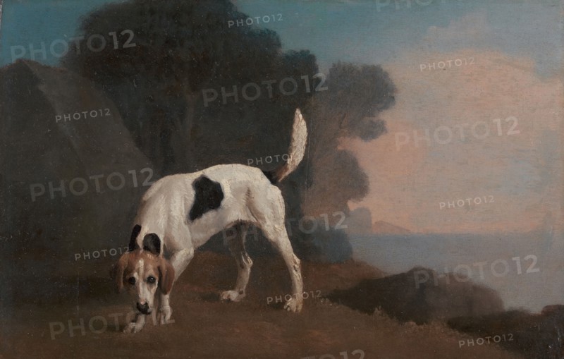Foxhound;Foxhound on the Scent, ca. 1760.
