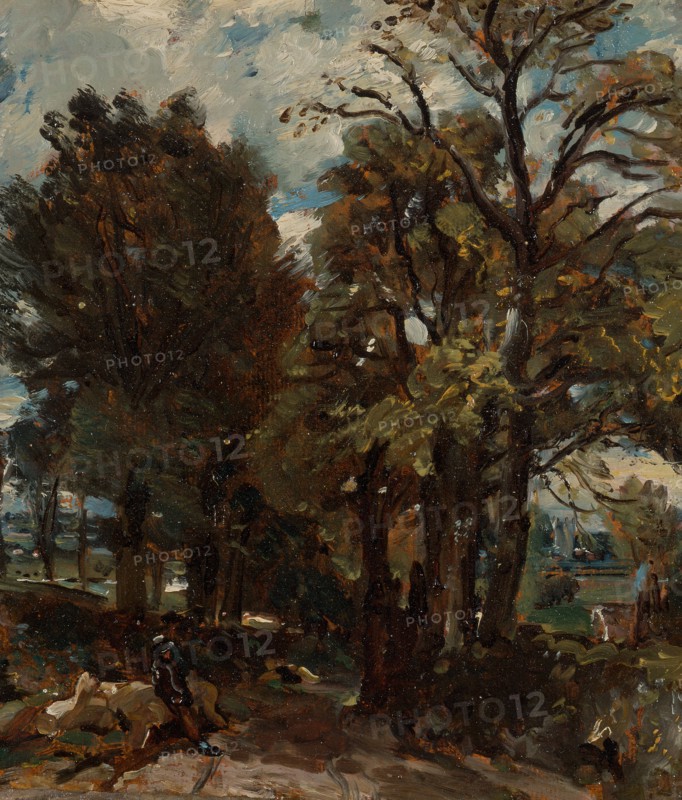Fen Lane, East Bergholt;Sketch of a Lane at East Bergholt;A Lane in Suffolk;A Lane Near Faltford, ca. 1811.