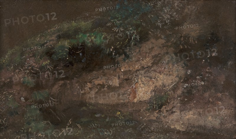 Undergrowth;A Bank with Undergrowth, ca. 1821.