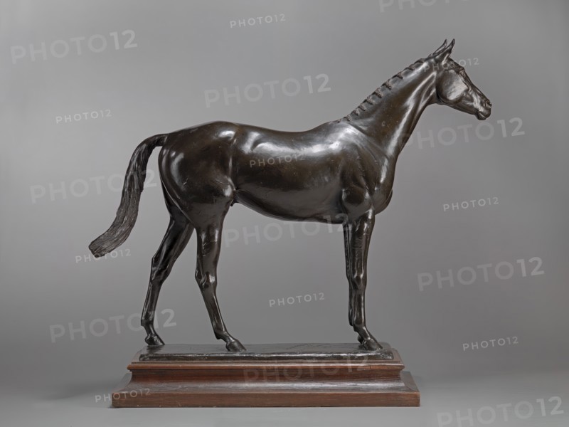 The Tetrarch;The Racehorse, The Tetrarch, ca. 1913.