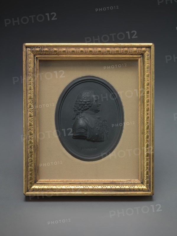 Sir Charles Linnaeus, undated. after John Webber