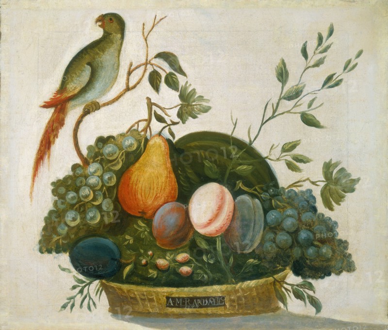 Basket of Fruit with Parrot, 1777.