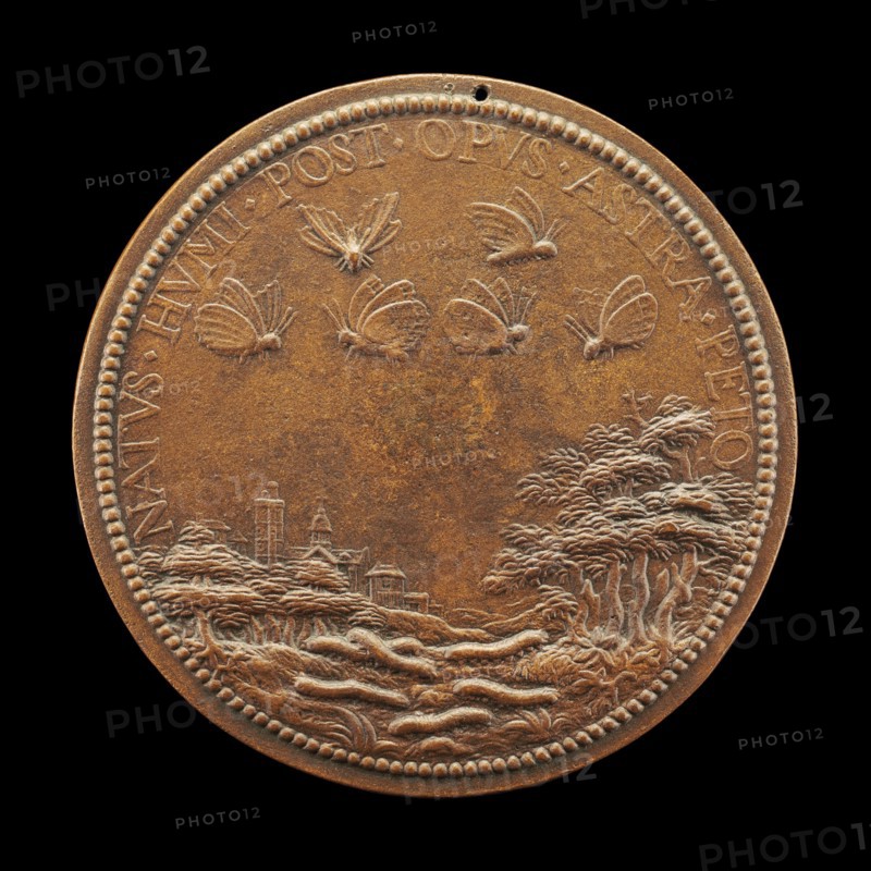 Landscape with Caterpillars and Butterflies [reverse], 1624.