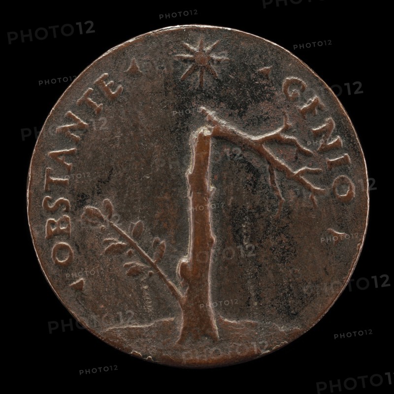 Broken Laurel Tree with Leafy Branch [reverse], probably 1532.