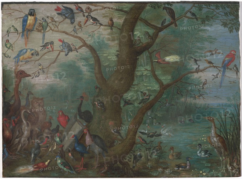 Concert of Birds, 1660/1670.