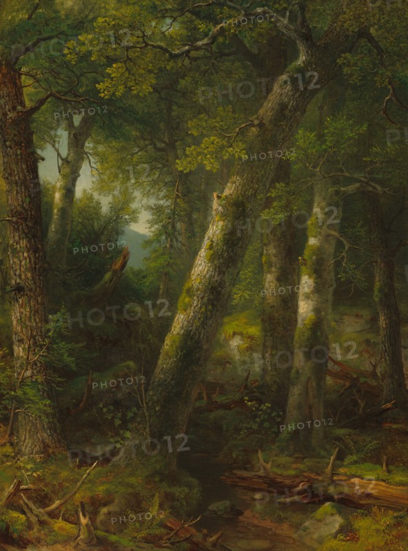 Forest in the Morning Light, c. 1855.