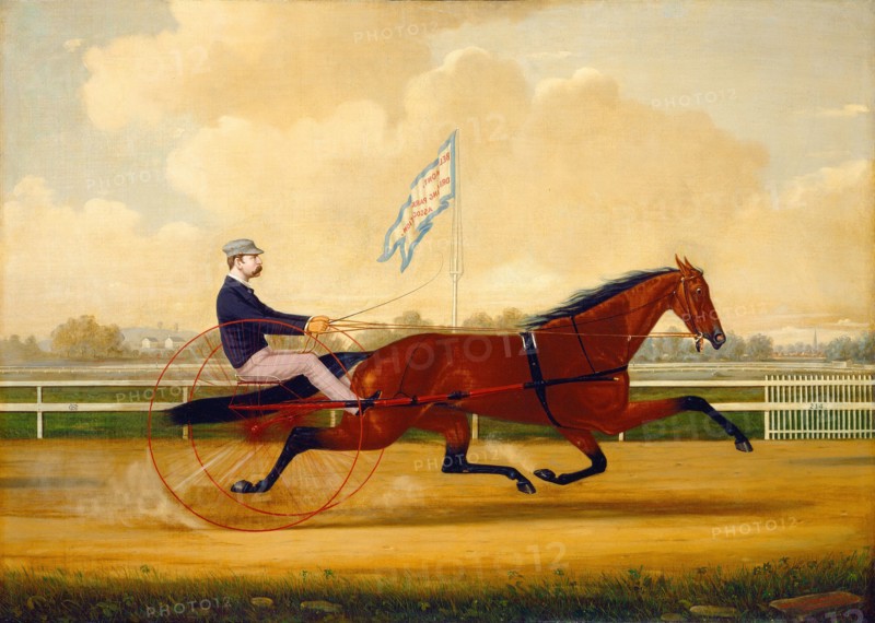 Budd Doble Driving Goldsmith Maid at Belmont Driving Park, 1876.