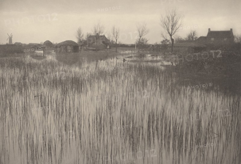 A Rushy Shore, 1886.