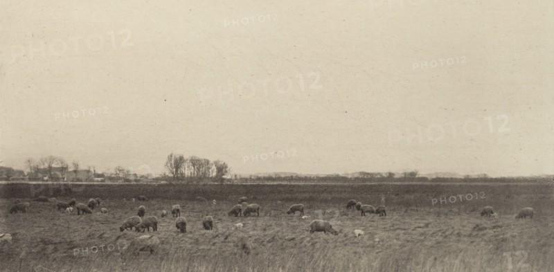 Marshes by the North Sea, 1890-1891, printed 1893.