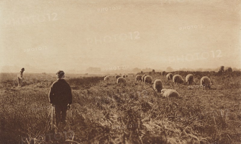 The Marshes in June, 1890-1891, printed 1893.