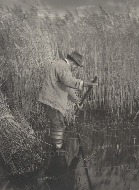 A Reed-Cutter at Work, 1886.