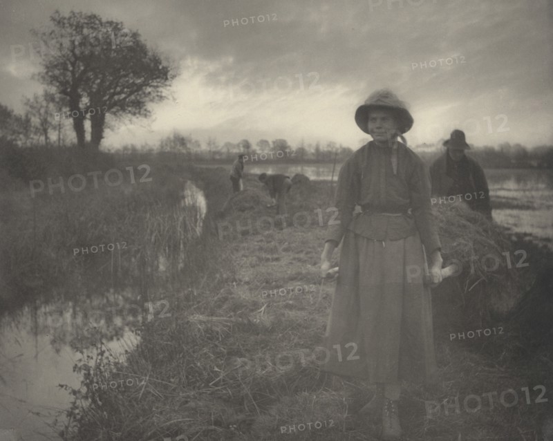 Poling the Marsh Hay, 1886.