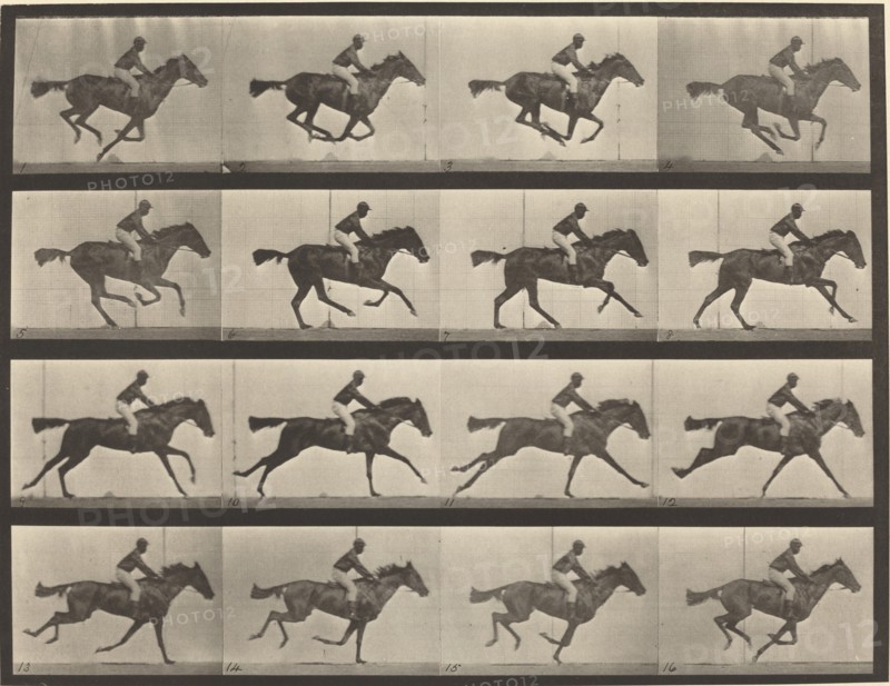 Plate Number 626. Gallop, thoroughbred bay mare, Annie G., 1887.