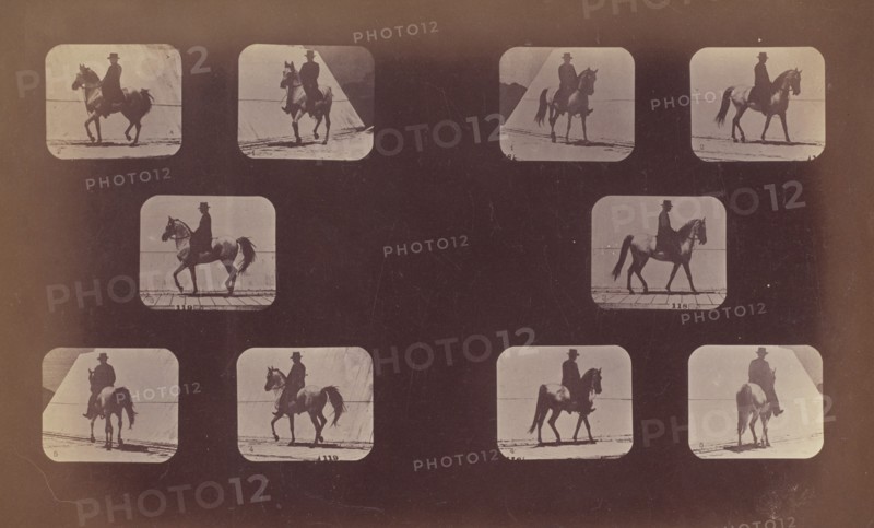 Studies of Foreshortenings. Horses. Walking. Mahomet. Nos. 119-120, 1879.