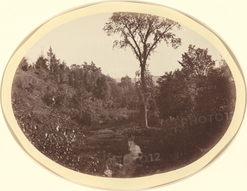 Landscape near Williams College, c. 1870.