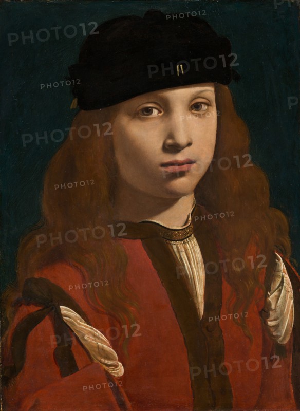 Portrait of a Youth, c. 1495/1498.