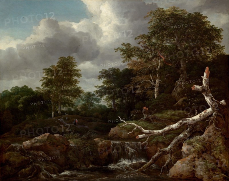 Forest Scene, c. 1655.