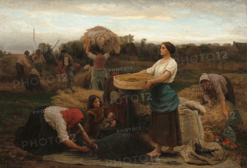The Colza (Harvesting Rapeseed), 1860.