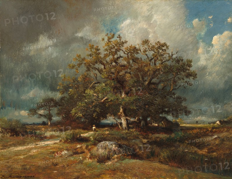 The Old Oak, c. 1870.
