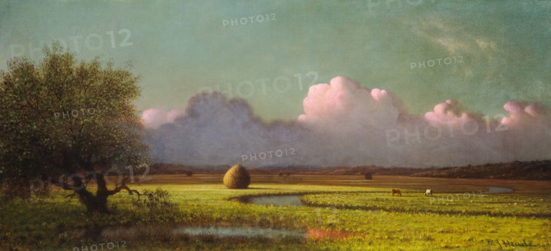 Sunlight and Shadow: The Newbury Marshes, c. 1871/1875.