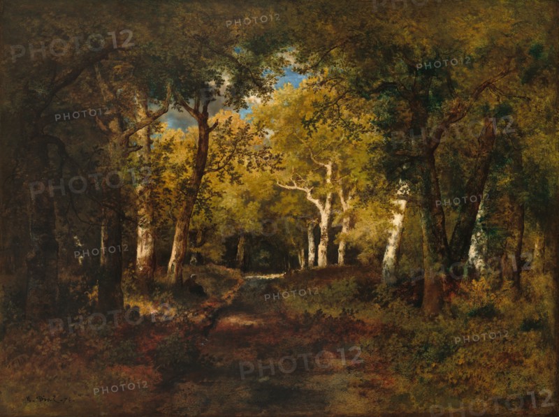 In the Forest, 1874.