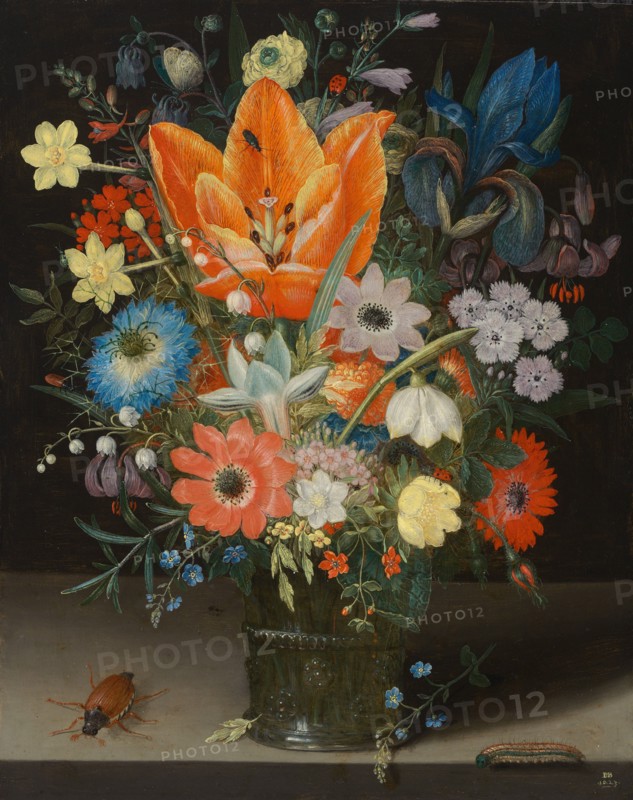 Still Life with Iris, 1623.