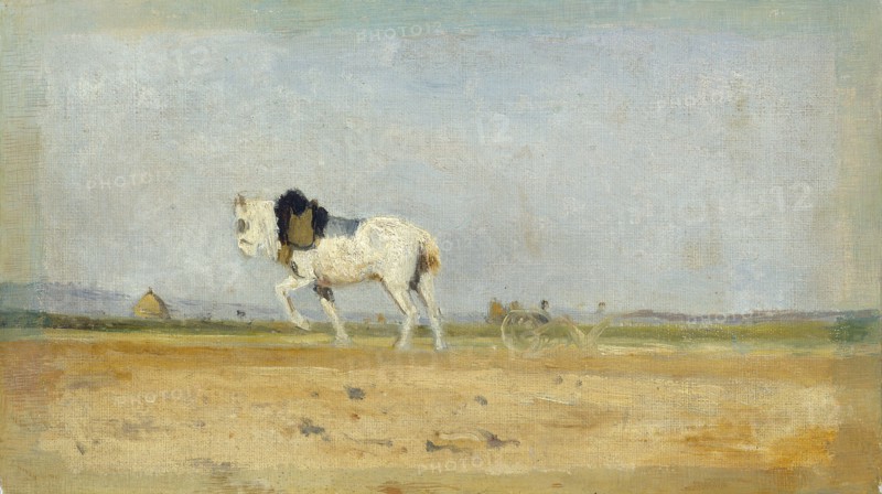 A Plow Horse in a Field, 1870/1874.