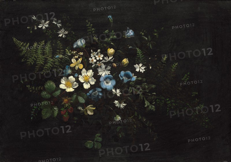 Spray of Flowers and Ferns, date unknown. [19th century].