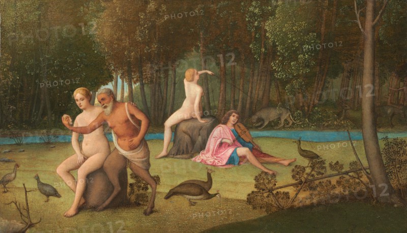 Orpheus, c. 1515.