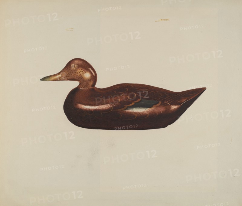 Wooden Duck, 1935/1942.