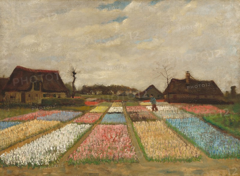 Flower Beds in Holland, c. 1883.