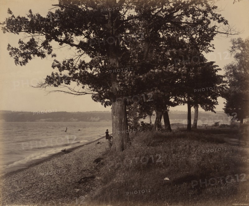 Cayuga Lake, Sheldrake, c. 1895.