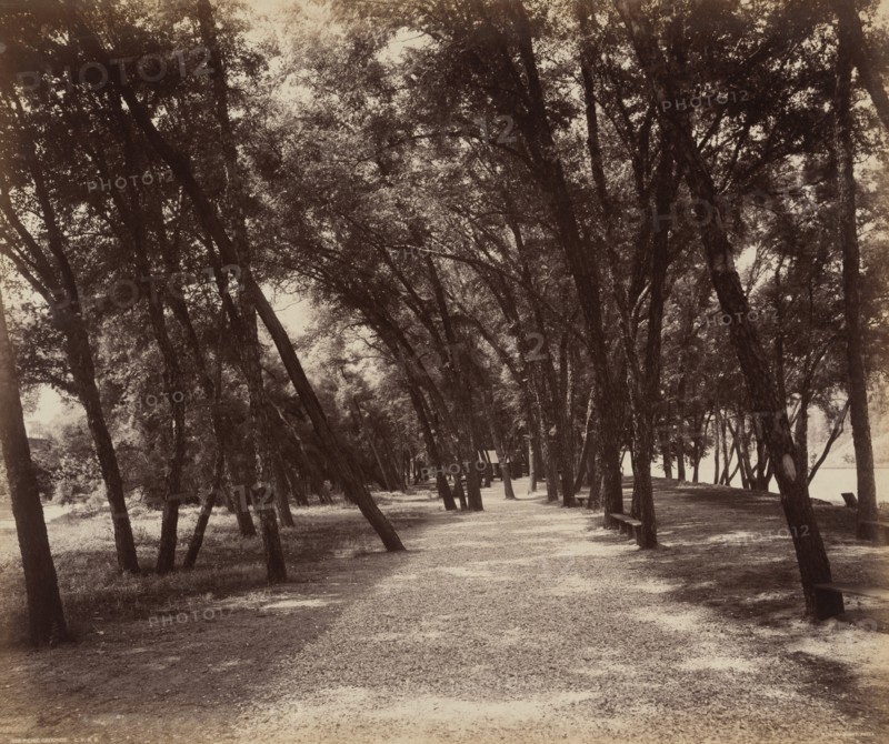 Picnic Grounds, c. 1895.