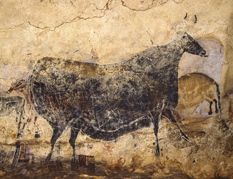 Black Cow. Caves painting of Lascaux, ca 16.000-15.000 BC. Found in the collection of Centre national de Préhistoire (Périgueux).