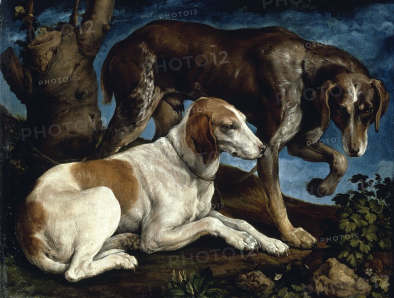 Two hunting dogs, 1548-1549. Found in the collection of Musée du Louvre, Paris.
