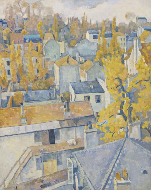 Rooftop view, 1890. Private Collection.