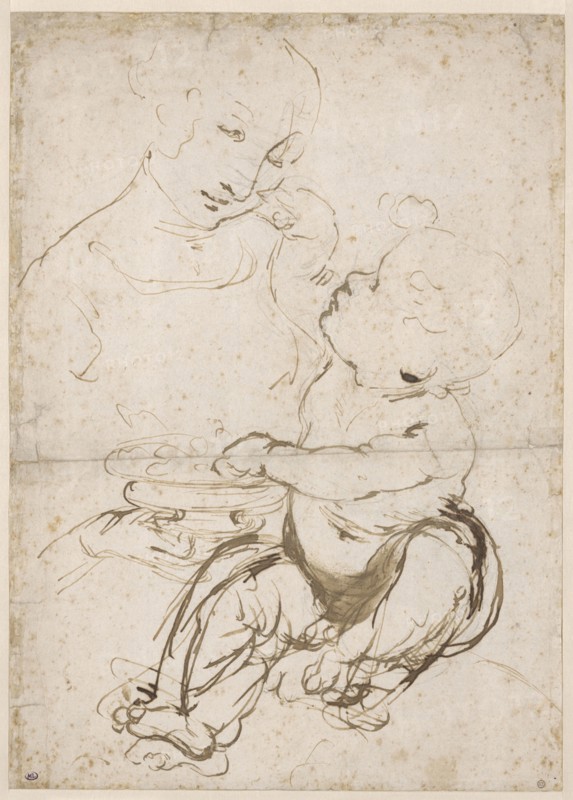 Study for the Madonna with a Fruit Bowl, ca 1478. Found in the collection of Musée du Louvre, Paris.