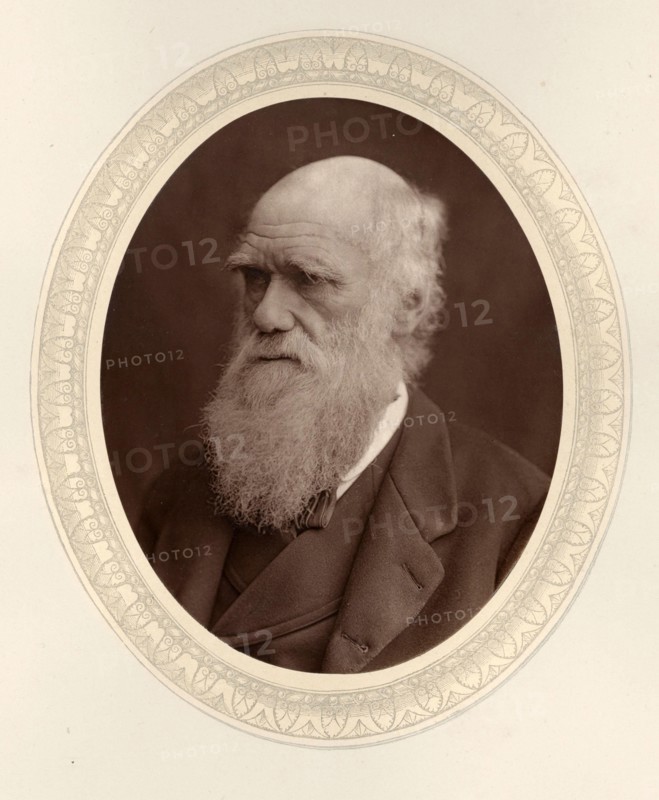Portrait of Charles Darwin (1809-1882), 1877. Private Collection.