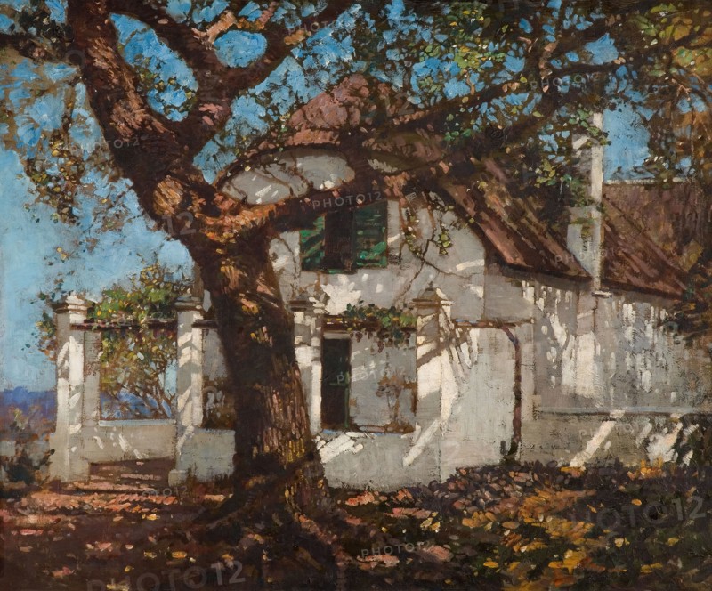 Welgelegen, Near Groote Schur, South Africa, 1924.