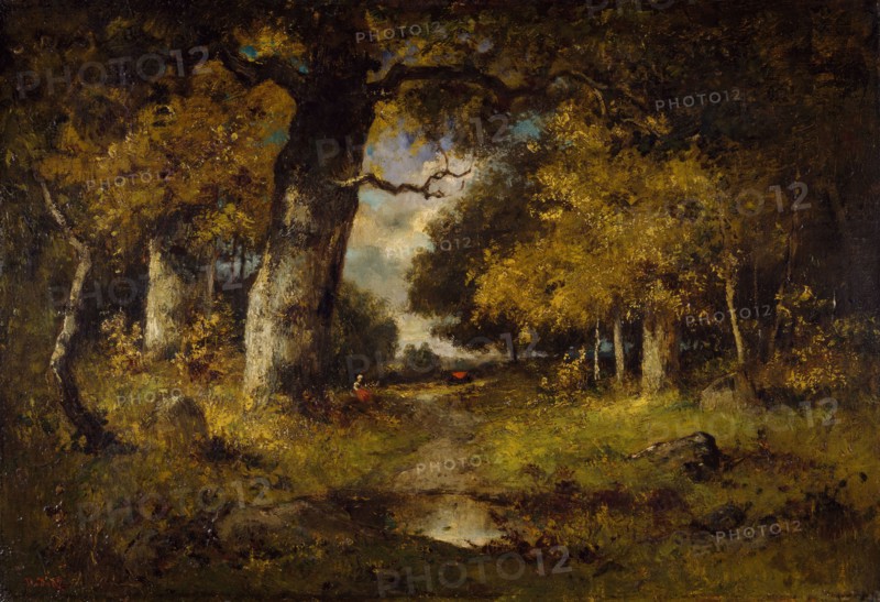 Woodland Scene, 1876.