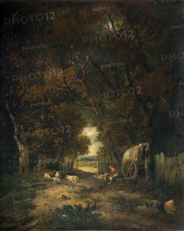 Walnut Tree Walk, Earlham, 1836-63. Based off John Crome's 'An Entrance to Earlham Park'.