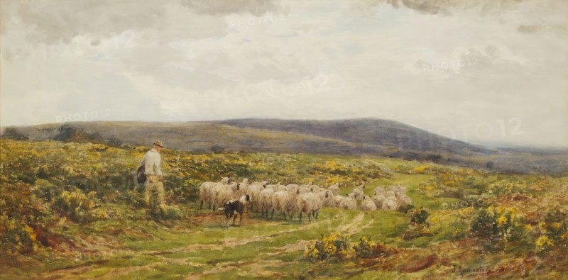 A Herefordshire Common, 1860-1900.