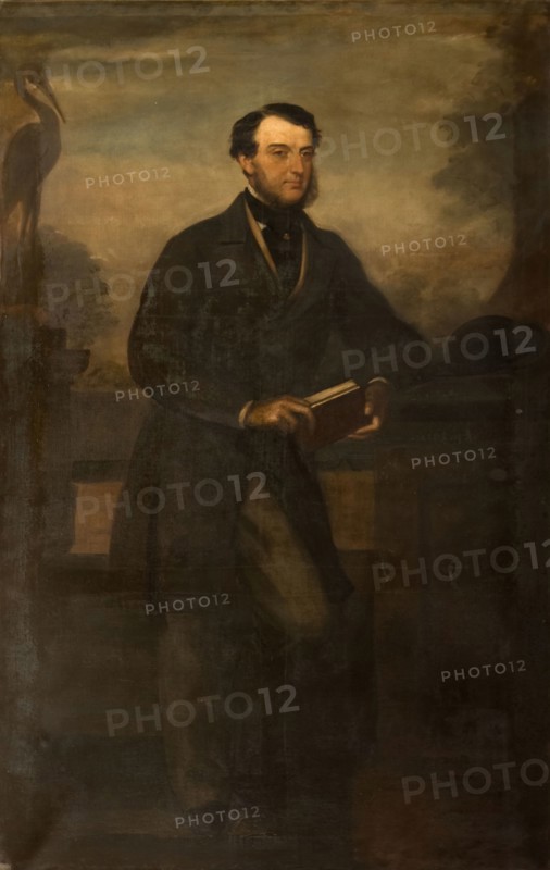 Portrait Of Charles B Adderley 1st Lord Norton, 1865.