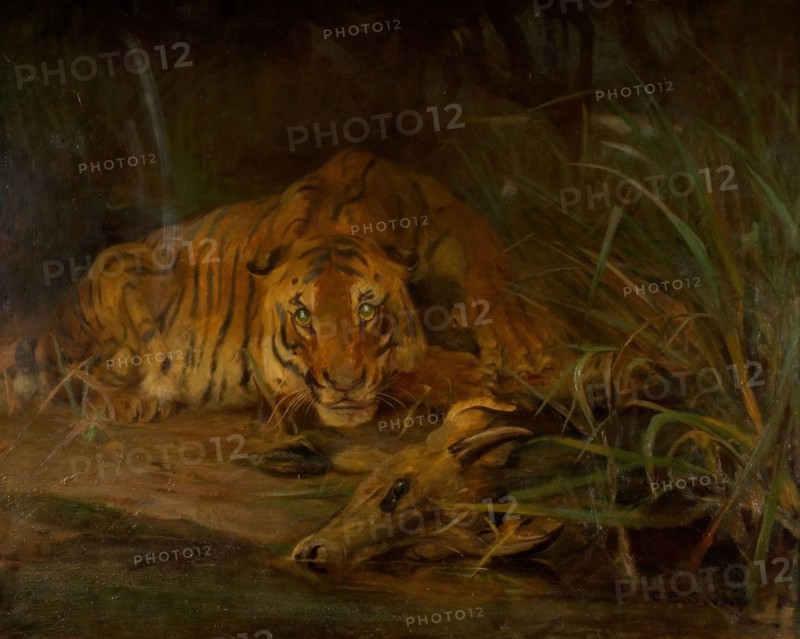 Tiger And Prey, 1931.
