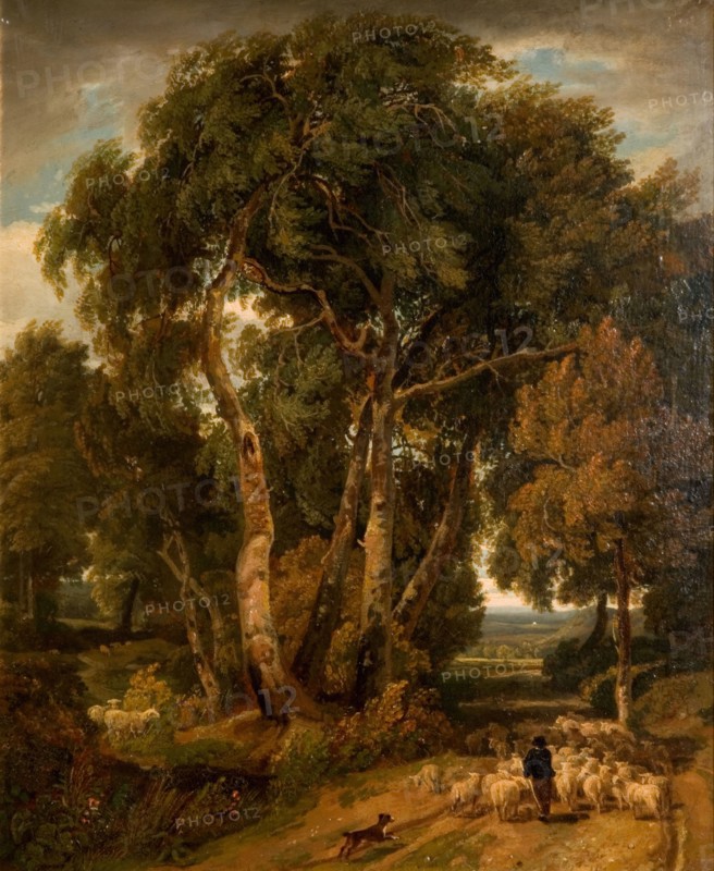 Driving Home The Flock, 1806.